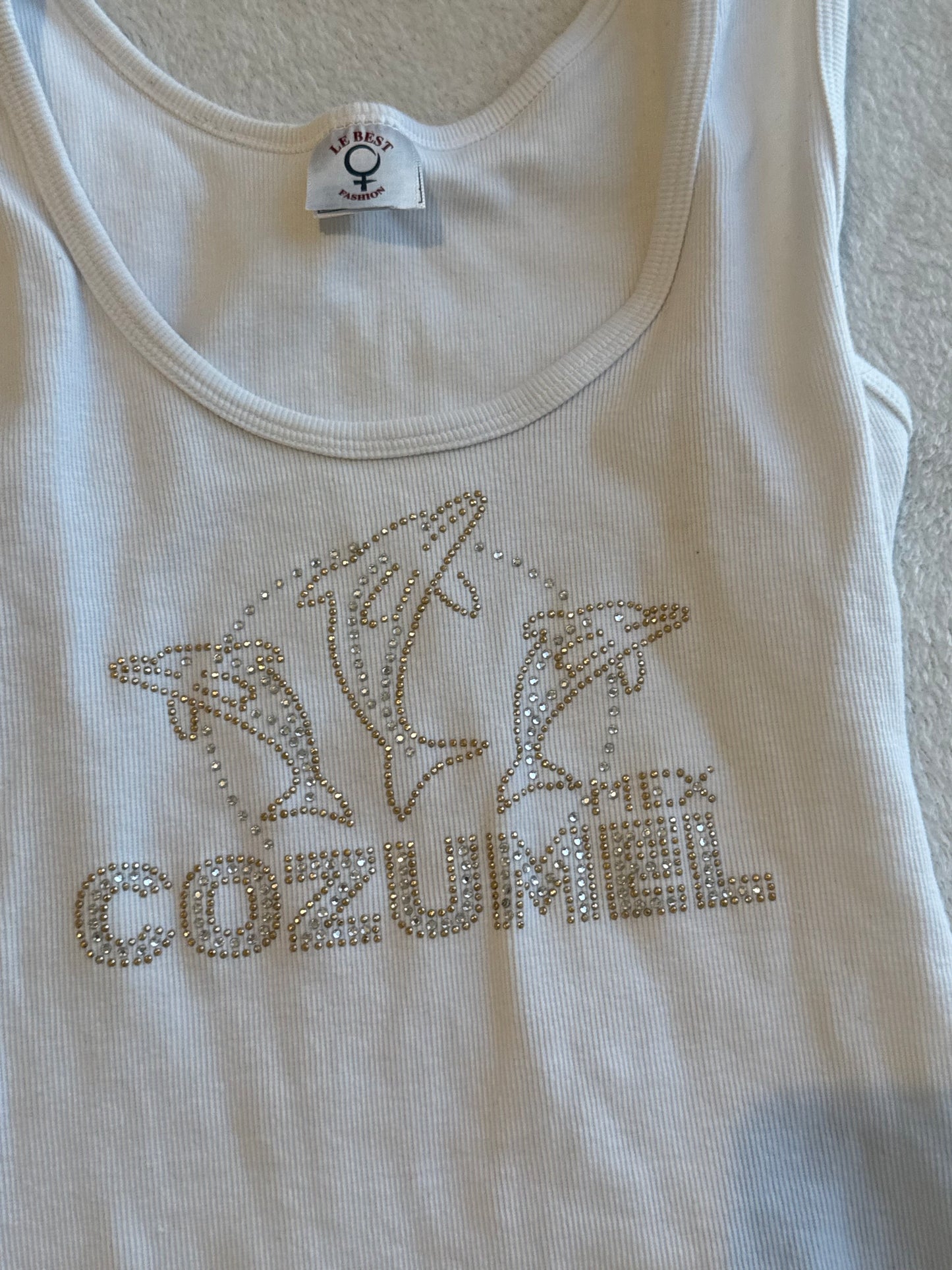 Cozumel Mexico Fitted Sequin Top