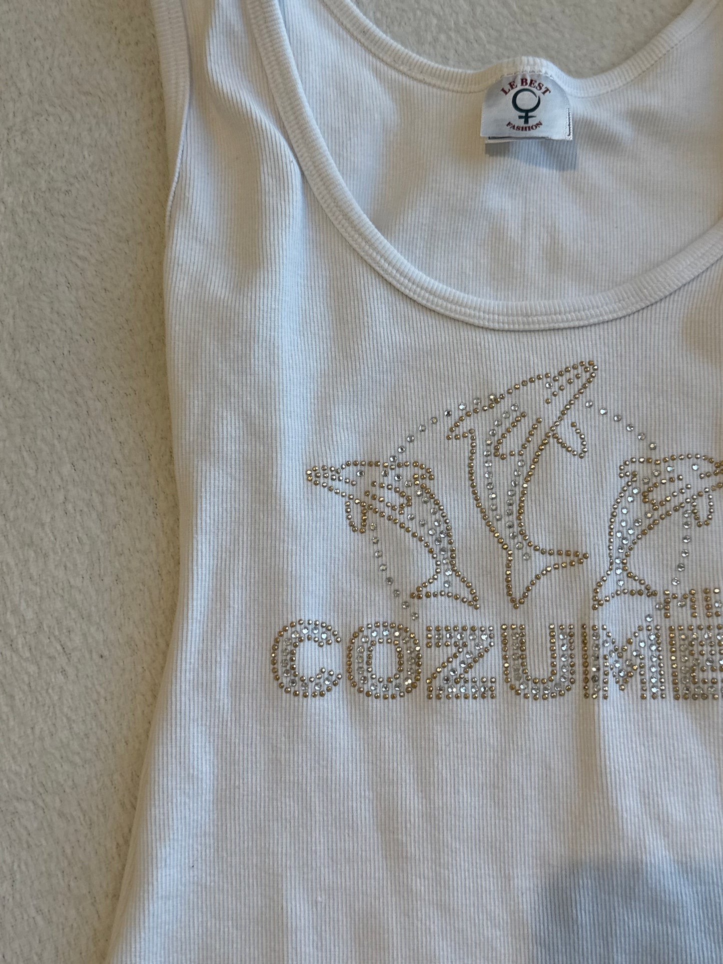 Cozumel Mexico Fitted Sequin Top